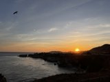 Soaring Silhouette