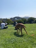 Playtime in the Park
