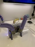 Robotic Wonder