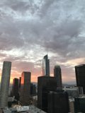 Golden Hour Glow in the Urban Jungle