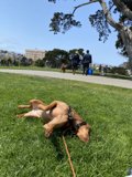 Relaxing in the Park