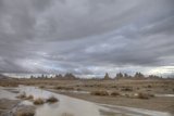 Majestic Beauty of the Desert