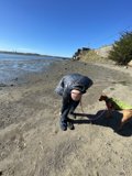 Man and His Furry Beach Companion