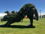 Canine Botanicus