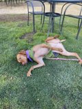 Basking in the California Sun