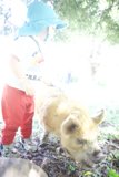 Young Explorer Meets Gentle Giant