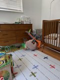 Curious Adventures in the Nursery