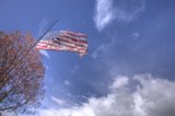 Patriotism in Nature