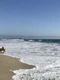 Beach Walk with My Best Friend