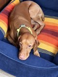 A Cozy Spot for Sleeping