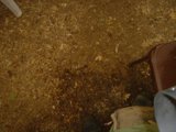 Sitting Among the Soil