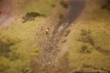 Miniature Explorer on an Adventure