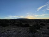 Desert Dreams