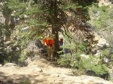 Into the Wilderness