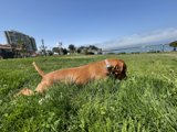 Lazy Day by the Bay
