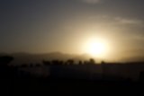 Serene Sunset Silhouettes at Coachella 2024