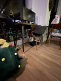 Feline Office Assistant