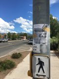 Dog Crossing Ahead