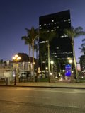 Urban Oasis