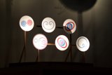 A Plate for Every Occasion
