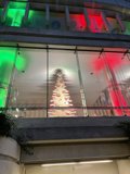 Urban Holiday Reflections