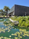 Serene Pond with Water Lilies