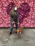 Flower Power Walk with Furry Companions