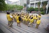 Yellow Jackets on a Walkabout