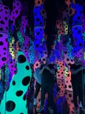 Chaotic Carnival of Colors