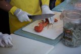 Lobster festival preparation