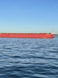 Majestic Freighter in San Francisco Bay