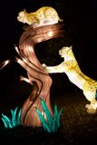 The Tree Climber - An Artistic Capture