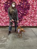 Wall of Flowers Walk