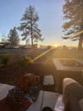 Sunset Serenade