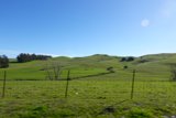 Serene Pasture View