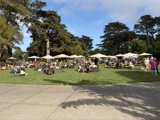 A Vibrant Day in the Park