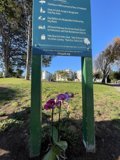 Exploring the Botanical Beauty of Duboce Park
