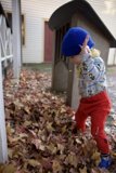 Autumn Adventures in Downtown Sonoma