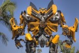 Bumblebee in Action