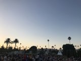 Palm Trees, People, & Music in the Park