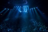 Spotlight on the Raging Crowd