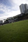 Canine Kite-Flying Adventure in the Heart of the Metropolis