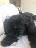 Lazy Days on the White Couch