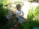 Young girl tending to her outdoor herbal garden