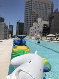 Whale of a Time at the Urban Resort Pool