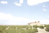 Desert Scenery with Shrubs and Trees