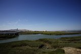 Dockside Daydreams, Millbrae, California, 2023