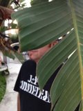 Peeking Out of Paradise