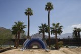 Rainbow Oasis in the Desert