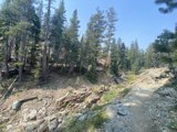Trail through the Desolation Wilderness